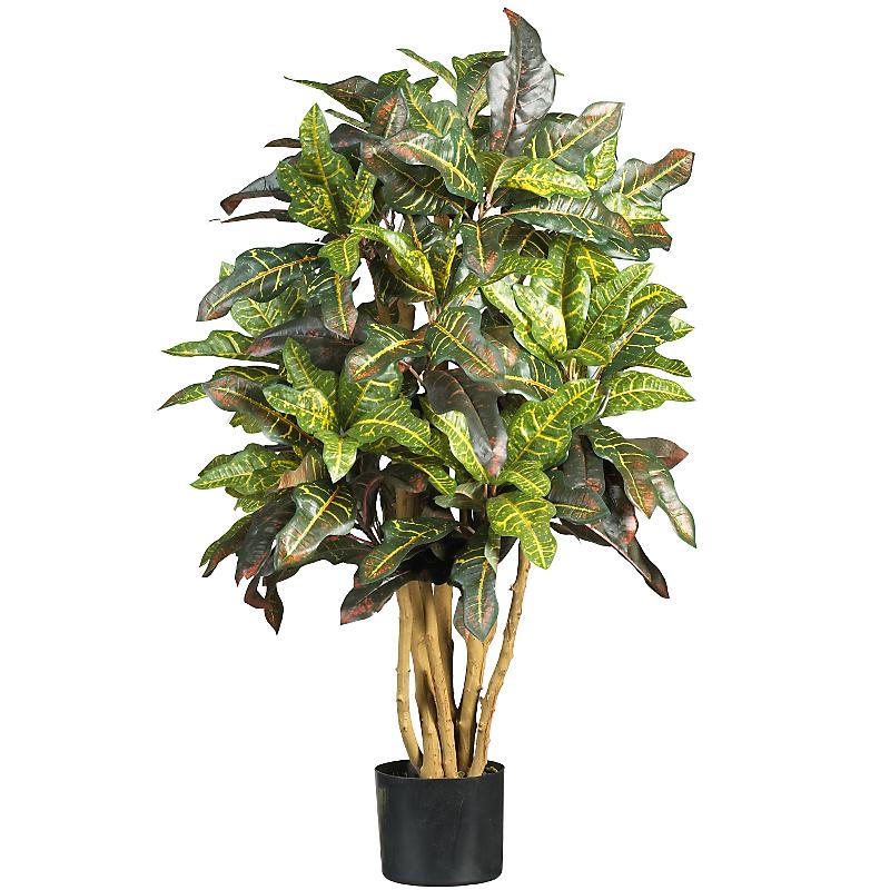 (image for) 3' Croton Silk Tree # NN5182 TEXT_CLOSE_WINDOW